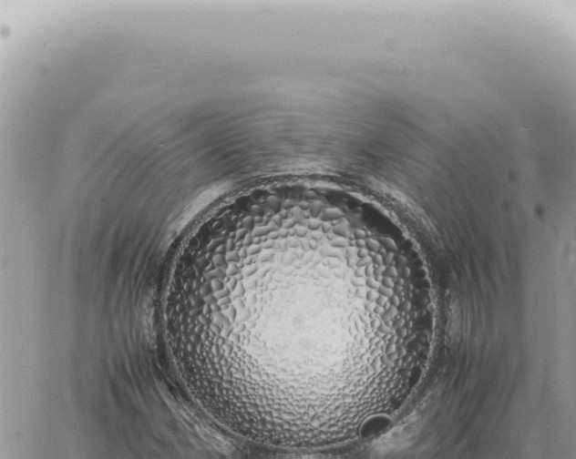 X0000060771162200511171206