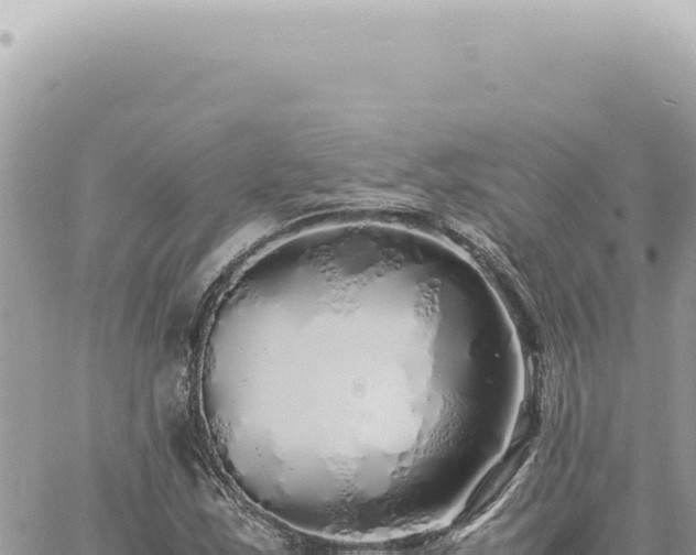 X0000060771163200511171206