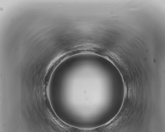 X0000060771164200511171206