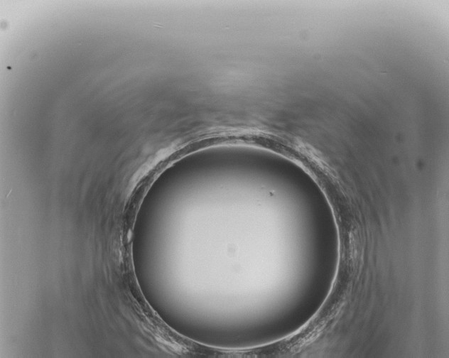 X0000060771165200511171206