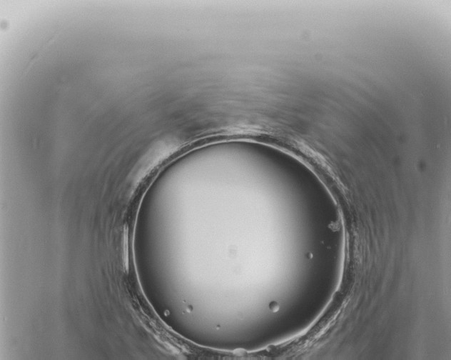 X0000060771171200511171206