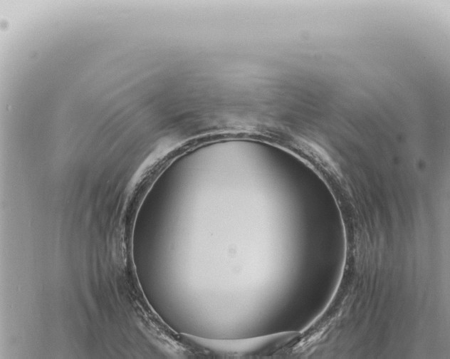 X0000060771172200511171206