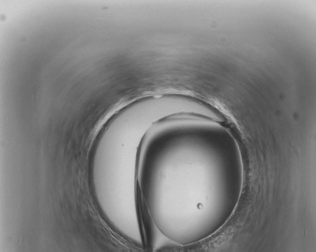 X0000060771173200511171206