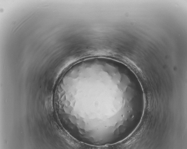 X0000060771174200511171206