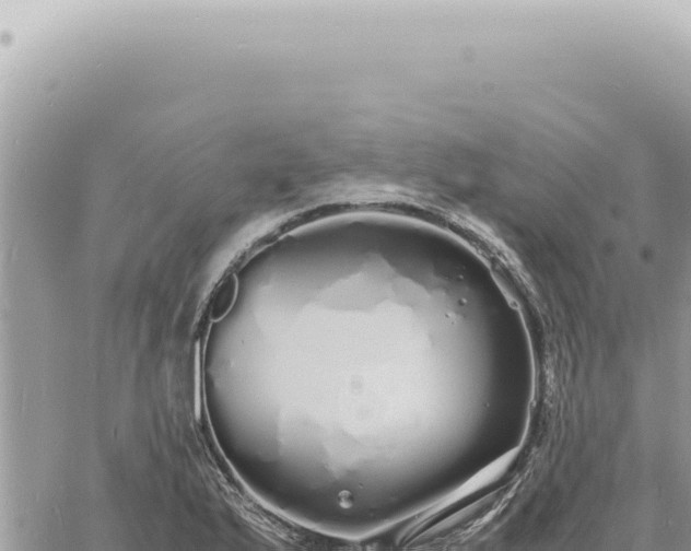 X0000060771175200511171206