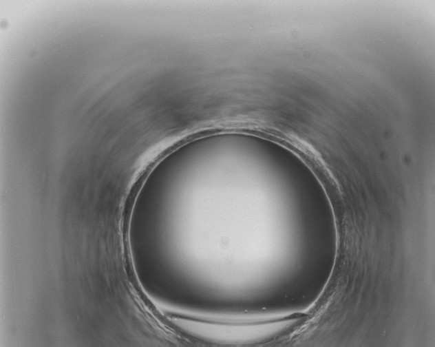 X0000060771176200511171206