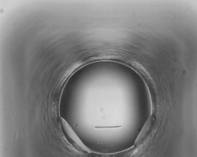 X0000060771177200511171206