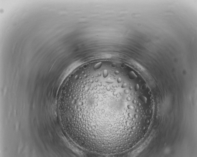 X0000060771178200511171206