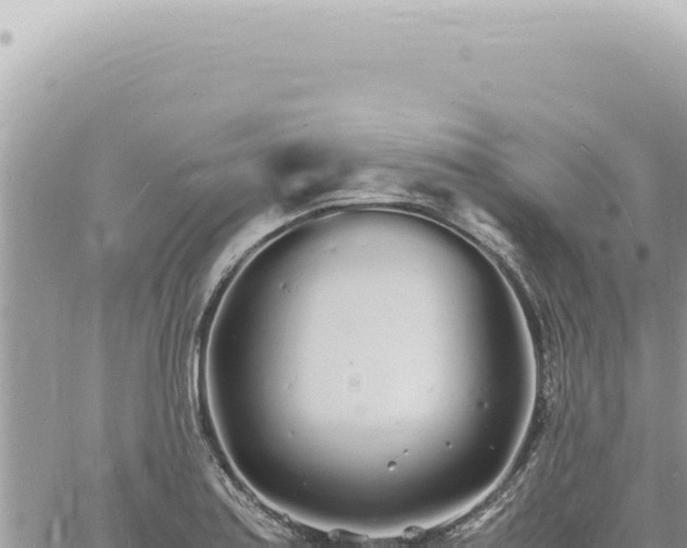 X0000060771179200511171205