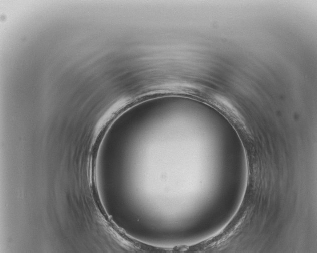 X0000060771180200511171205