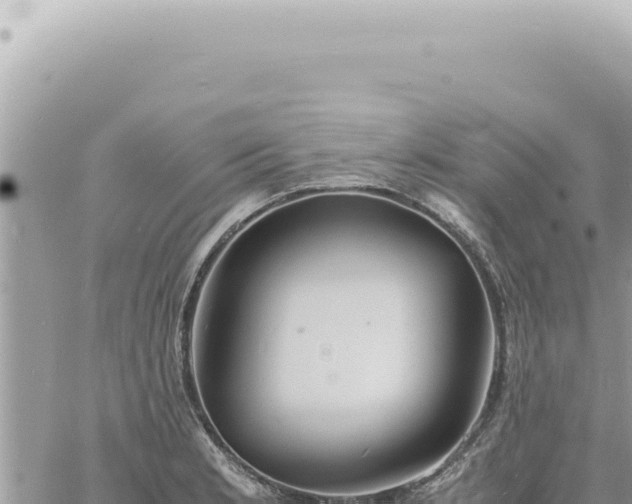 X0000060771181200511171205