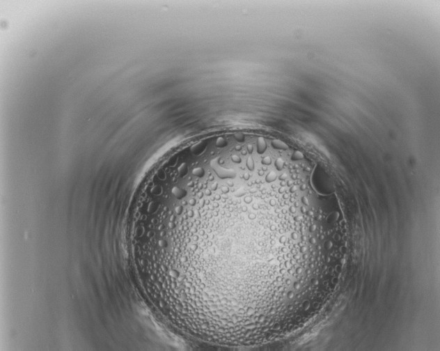 X0000060771182200511171205