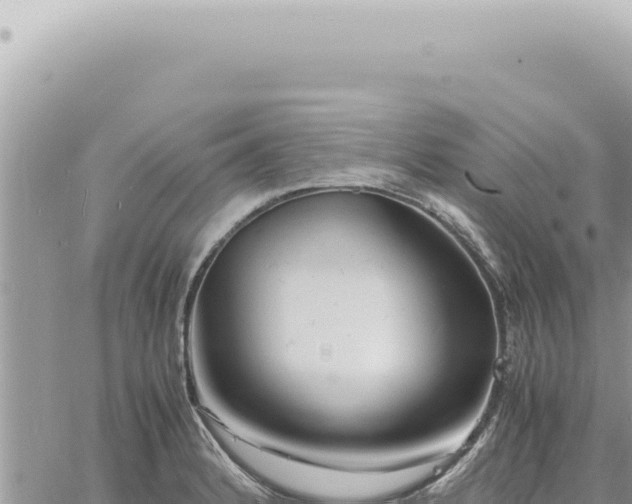 X0000060771184200511171205