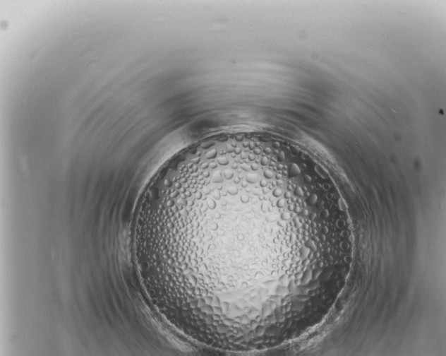 X0000060771186200511171205