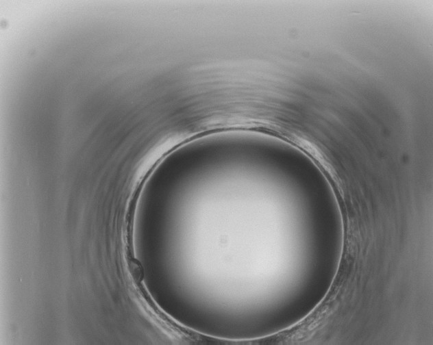 X0000060771187200511171205