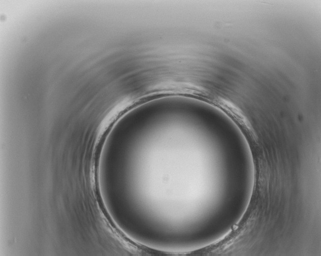 X0000060771188200511171205