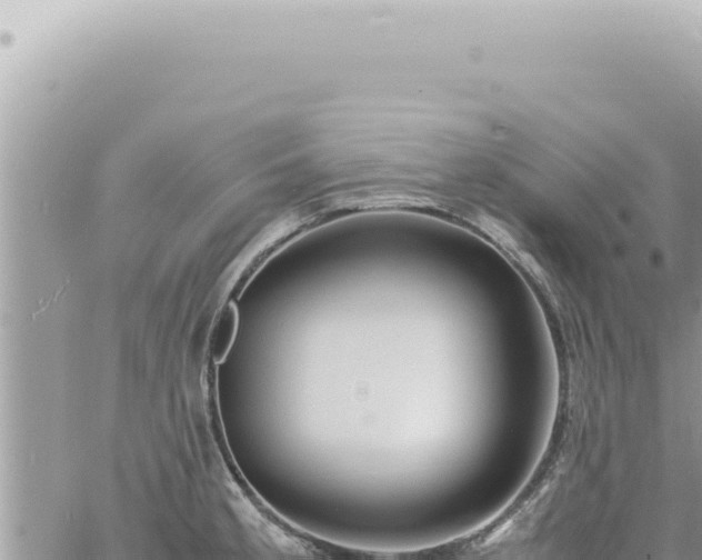 X0000060771189200511171205