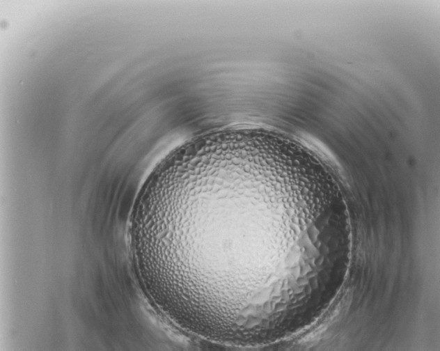 X0000060771190200511171205