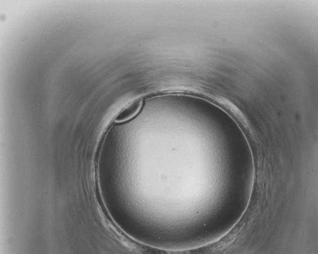 X0000060771191200511171205