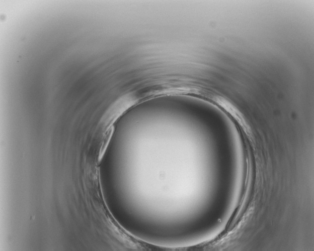 X0000060771193200511171205