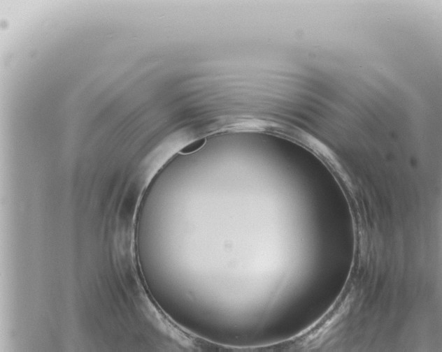 X0000060771194200511171205