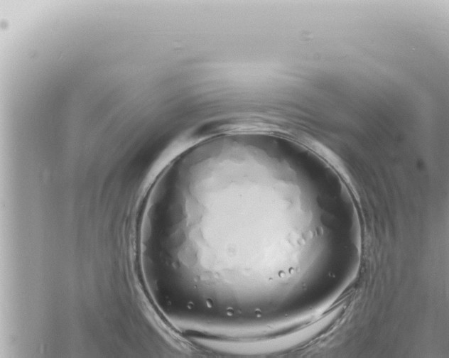 X0000060771195200511171205