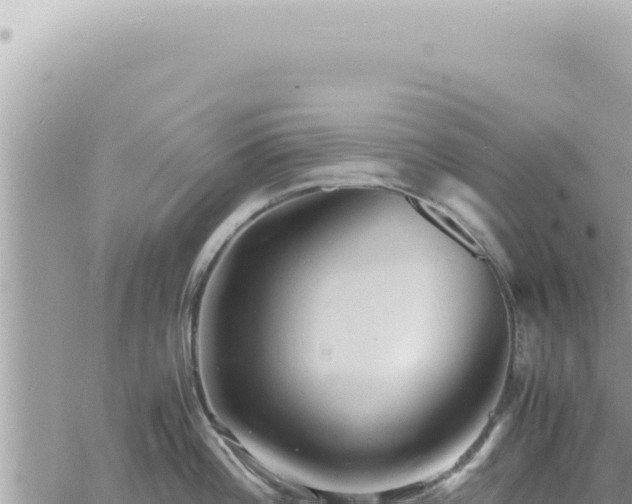 X0000060771196200511171205