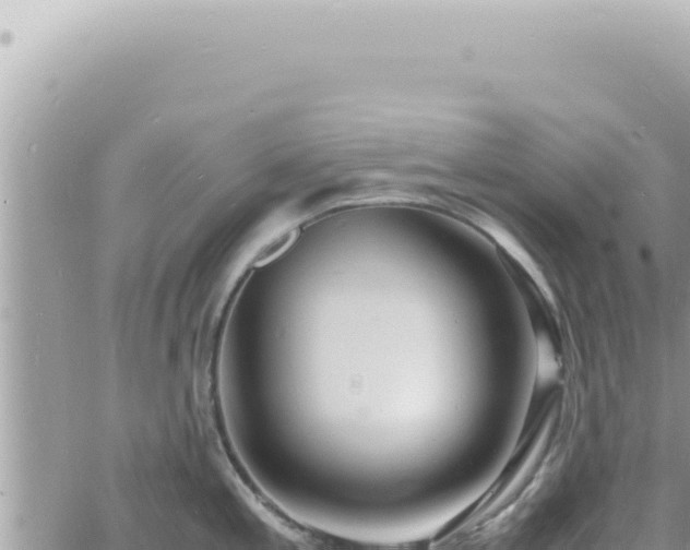 X0000060771197200511171205