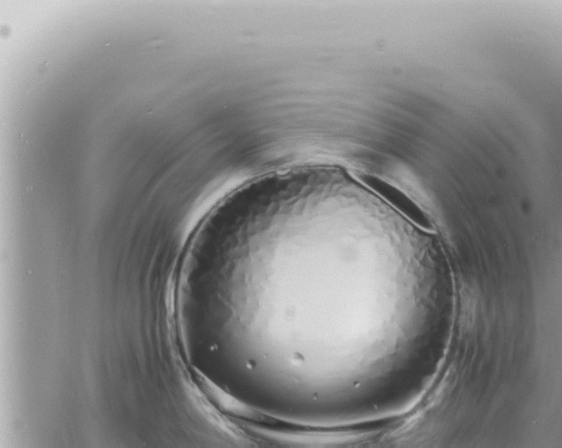 X0000060771198200511171205