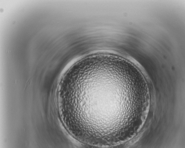 X0000060771199200511171205