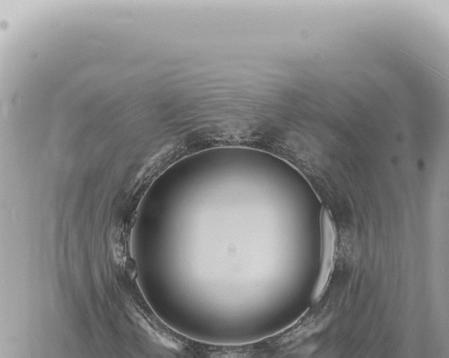 X0000060771202200511171204