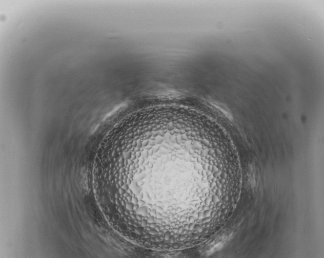 X0000060771205200511171204