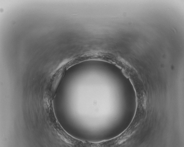 X0000060771206200511171204