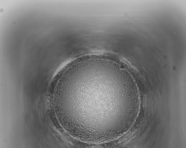 X0000060771208200511171204