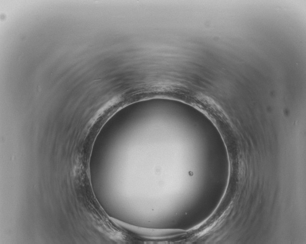 X0000060771210200511171204