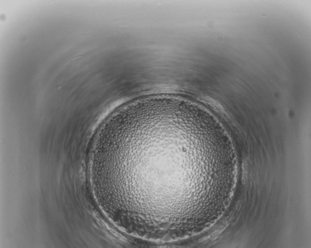 X0000060771212200511171205