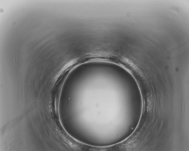 X0000060771213200511171205