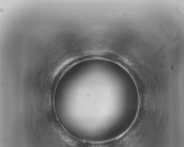 X0000060771214200511171205