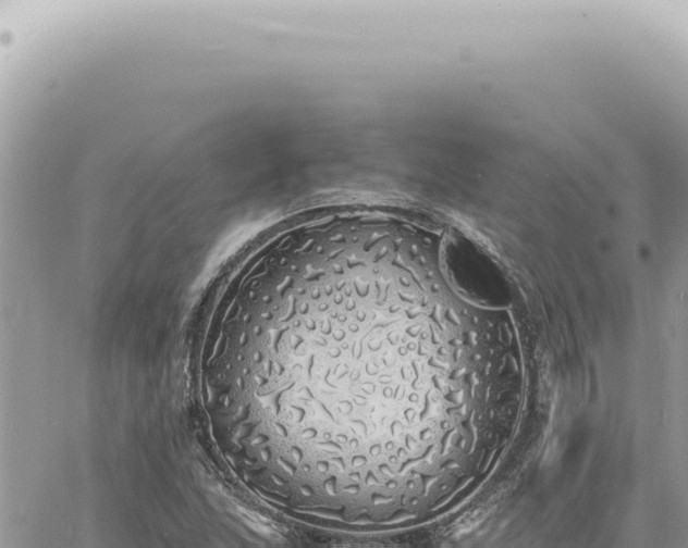 X0000060771215200511171205