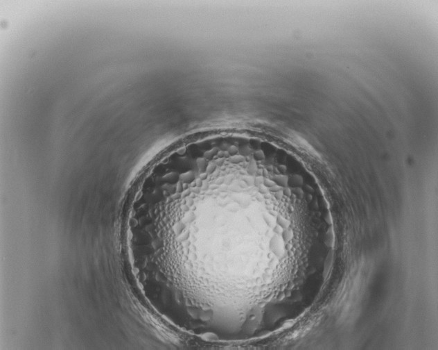 X0000060771216200511171205