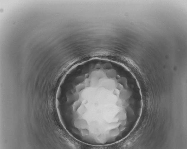 X0000060771217200511171205