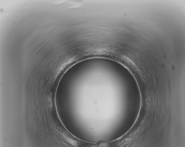 X0000060771218200511171205