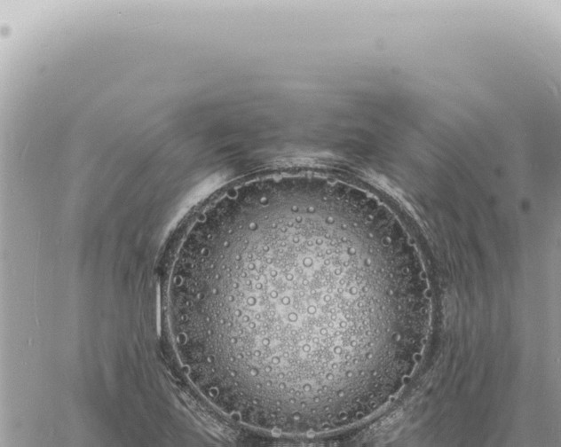 X0000060771219200511171205