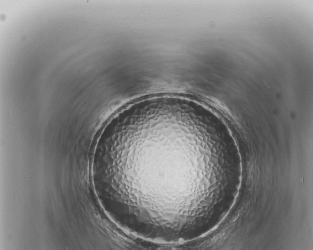 X0000060771220200511171205