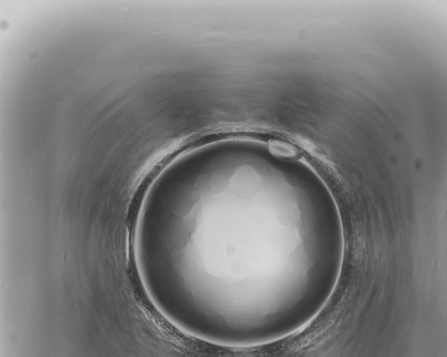 X0000060771221200511171205