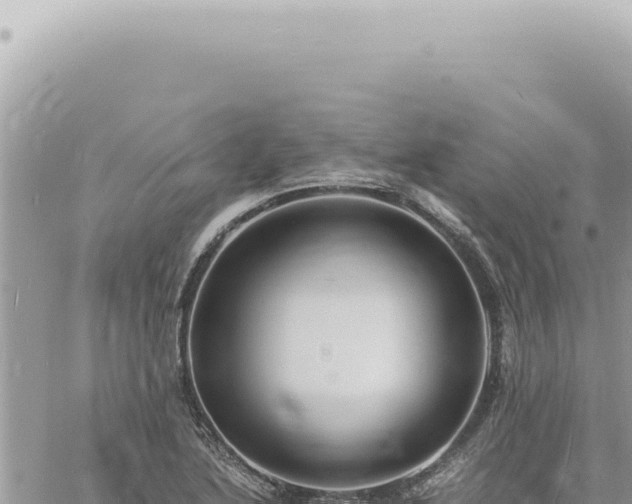 X0000060771222200511171205