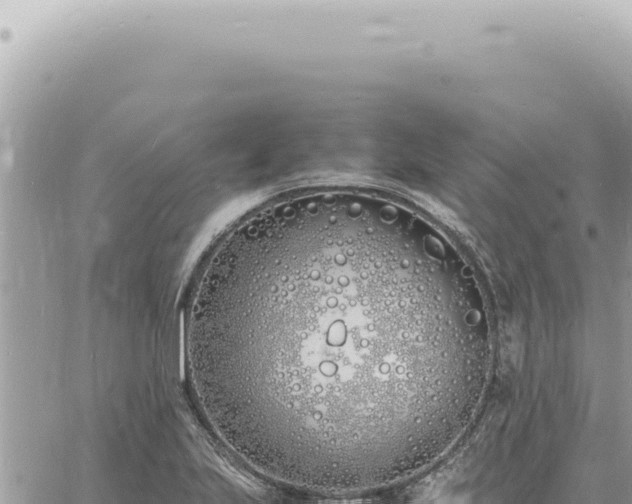 X0000060771223200511171205