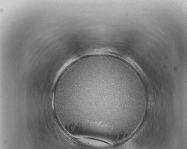 X0000060771224200511171205