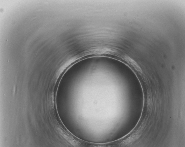 X0000060771226200511171205