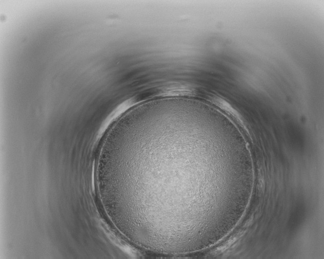 X0000060771227200511171205